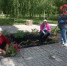 Озеленители ОАО «Спецавтохозяйство» приступили к посадке цветов - Огни Агидели