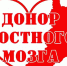 В республике зарегистрирован Башкирский регистр доноров костного мозга - Огни Агидели
