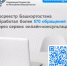 Росреестр Башкортостана обработал более 570 обращений через сервис онлайн-консультаций - Город Агидель
