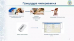 Чипирование