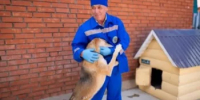 Собаки не только лучшие друзья человека, но и преданные компаньоны. - Город Агидель