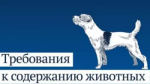 Основные требования к содержанию домашних животных